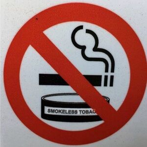 Smoke and Perfume Free Home. Cats Here, However